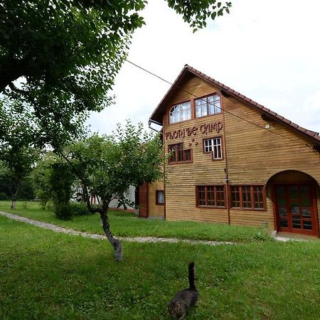 Pensiunea Flori De Camp Vatra Dornei Buitenkant foto