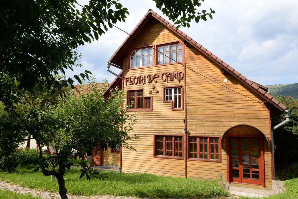 Pensiunea Flori De Camp Vatra Dornei Buitenkant foto