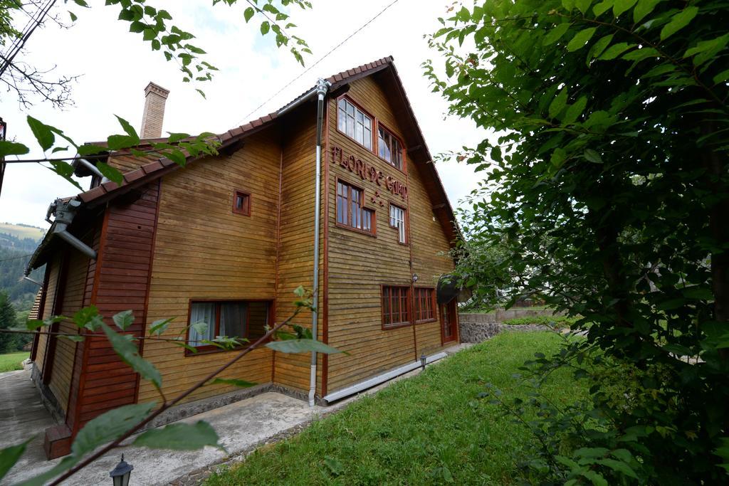 Pensiunea Flori De Camp Vatra Dornei Buitenkant foto