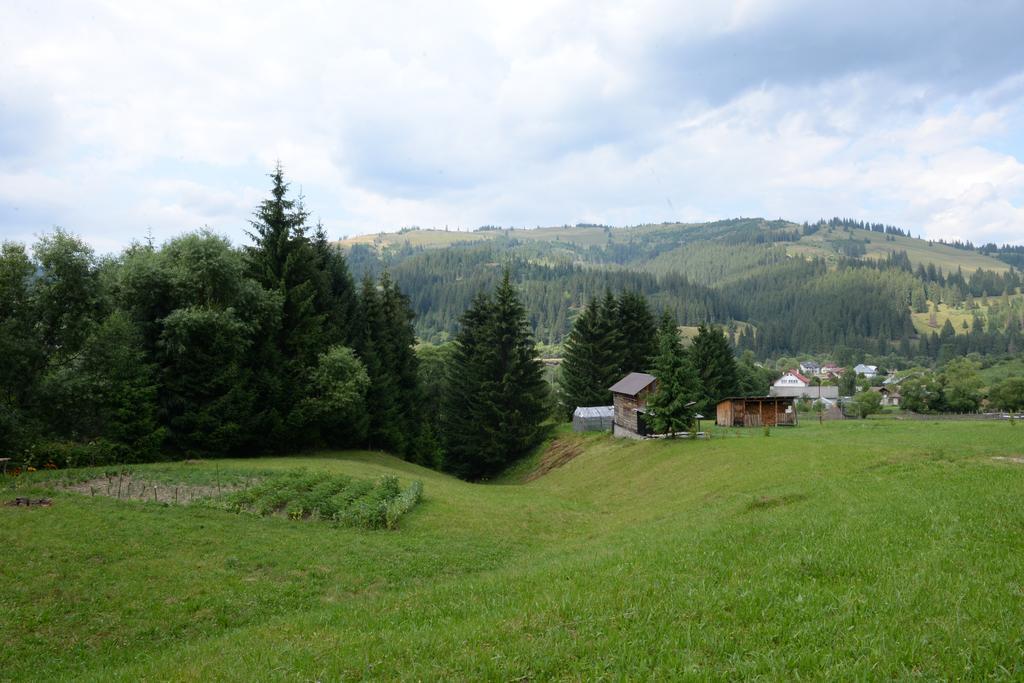 Pensiunea Flori De Camp Vatra Dornei Buitenkant foto