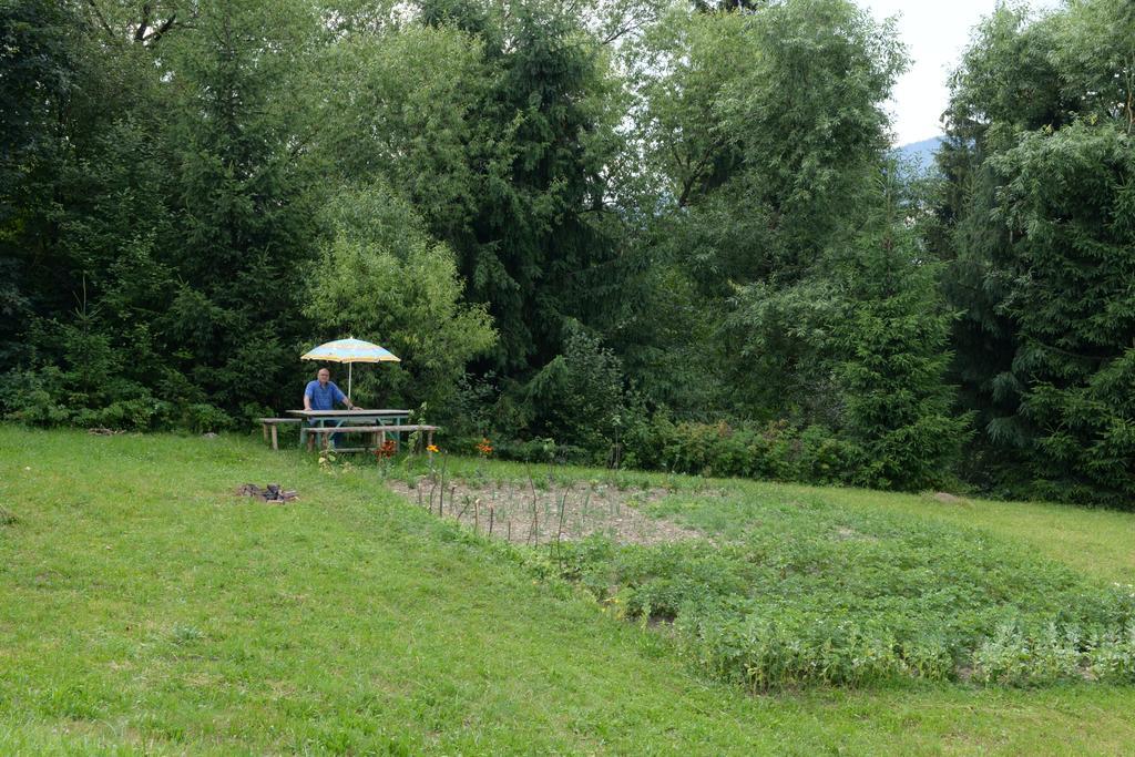Pensiunea Flori De Camp Vatra Dornei Buitenkant foto