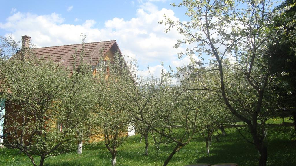 Pensiunea Flori De Camp Vatra Dornei Buitenkant foto