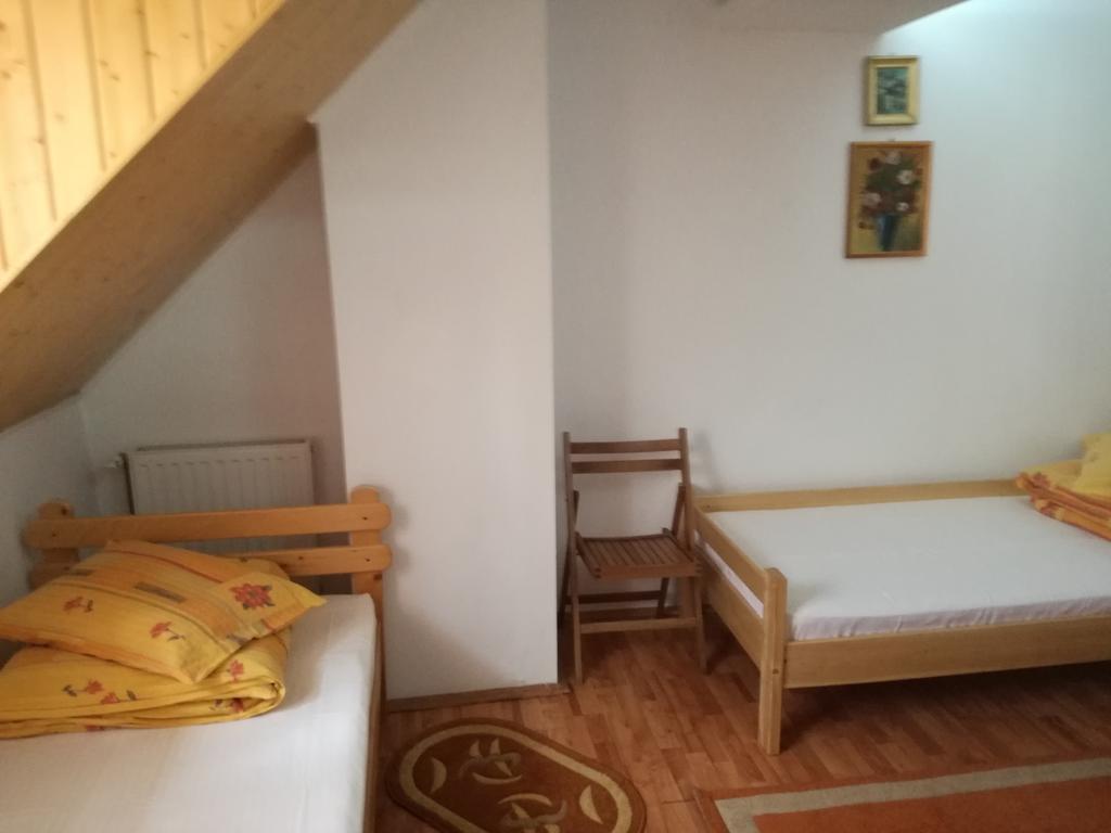 Pensiunea Flori De Camp Vatra Dornei Buitenkant foto