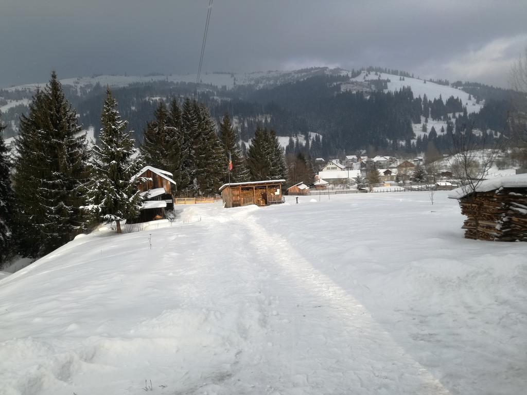 Pensiunea Flori De Camp Vatra Dornei Buitenkant foto