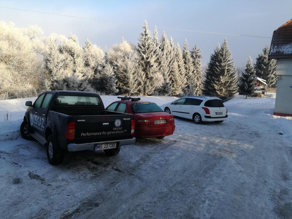 Pensiunea Flori De Camp Vatra Dornei Buitenkant foto